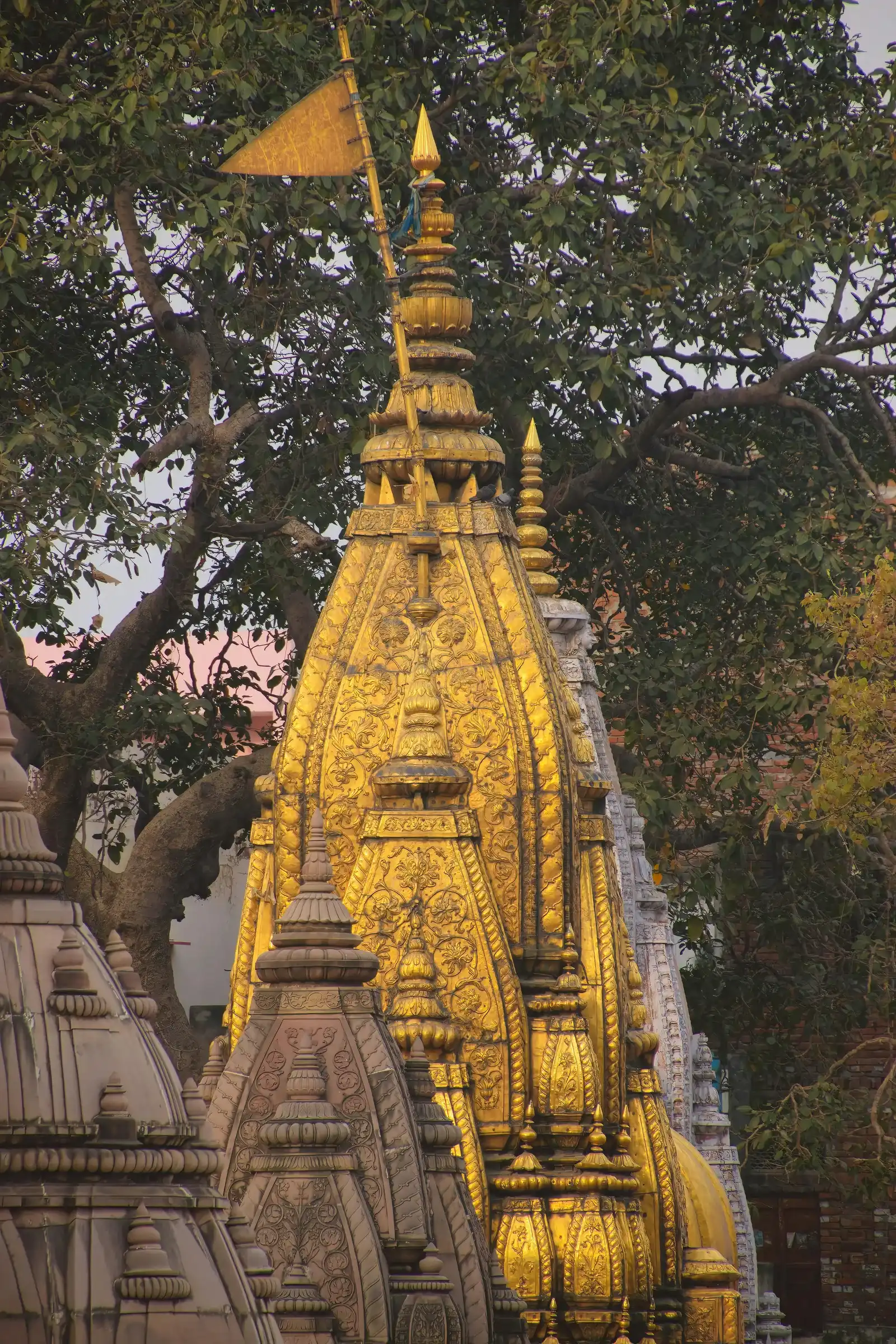 Kashi Vishwanath Temple golden spire in Varanasi